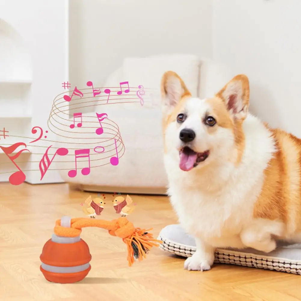 Rolling Ball Toy