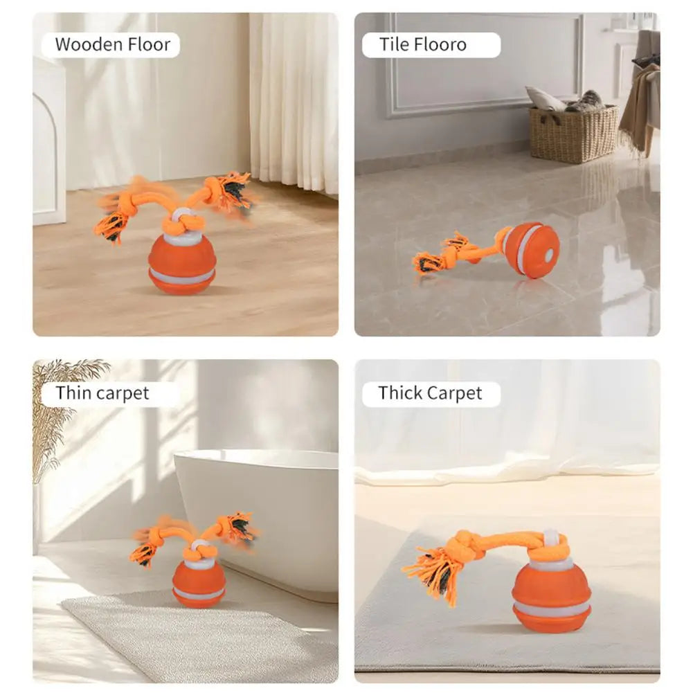 Rolling Ball Toy