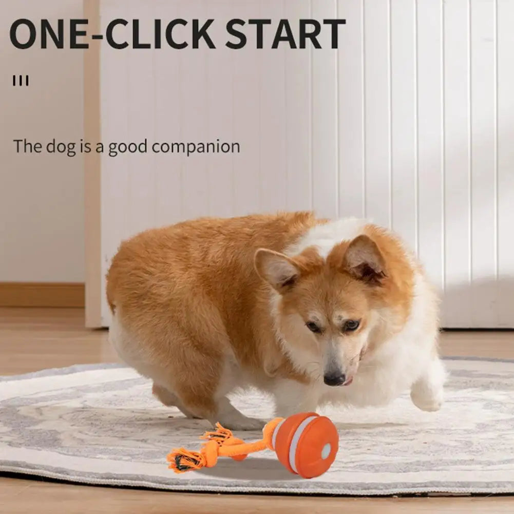 Rolling Ball Toy