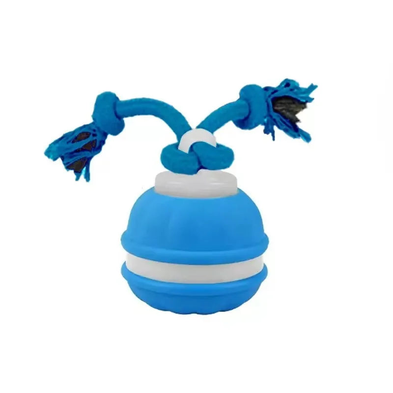 Rolling Ball Toy