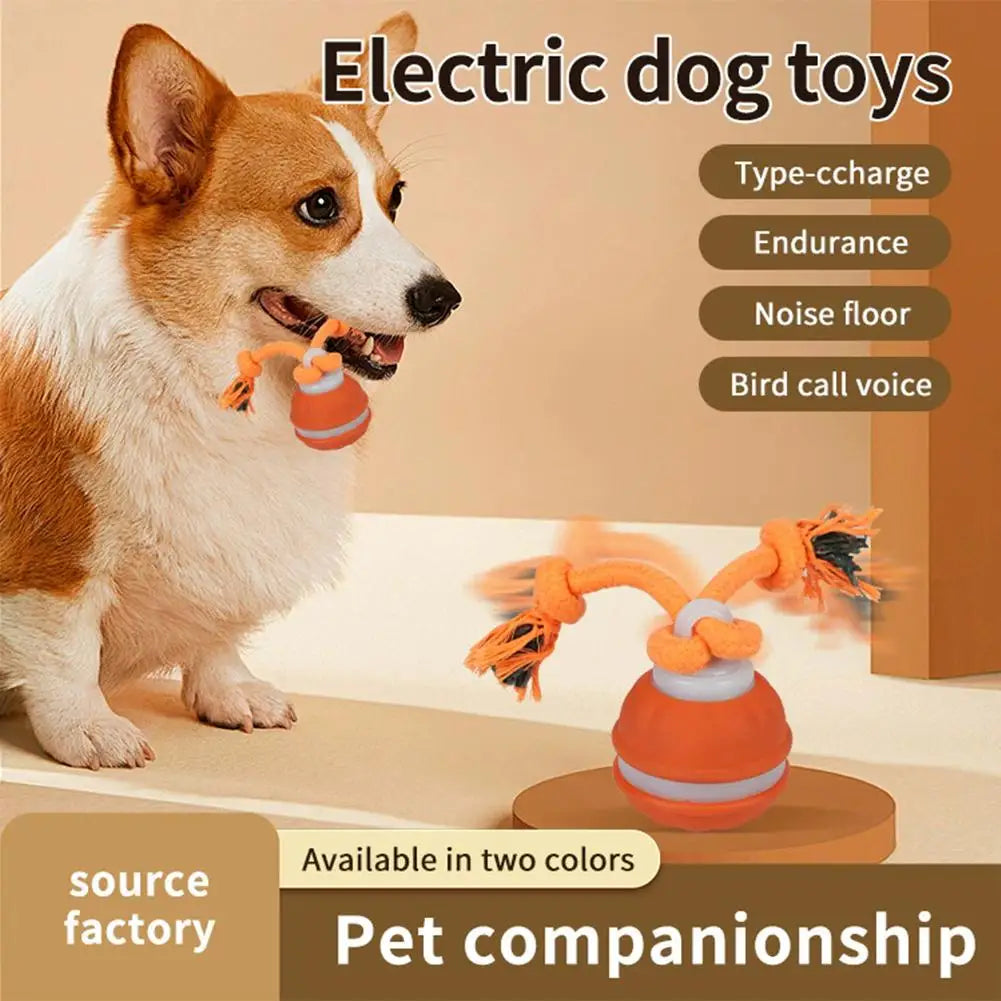Rolling Ball Toy
