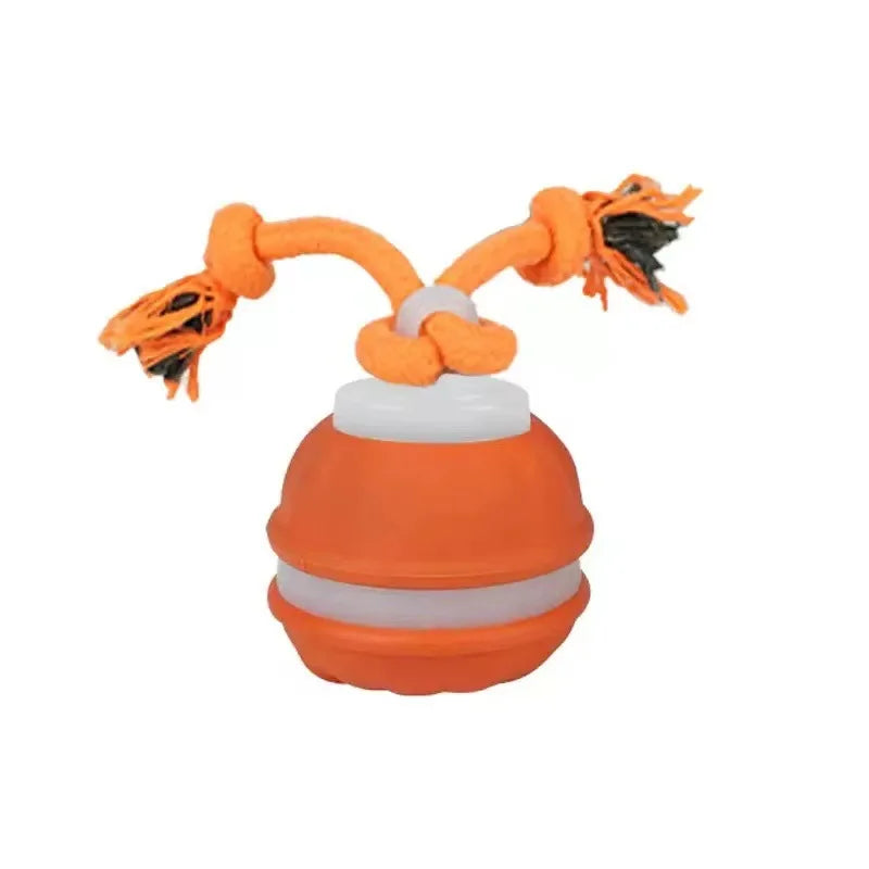 Rolling Ball Toy