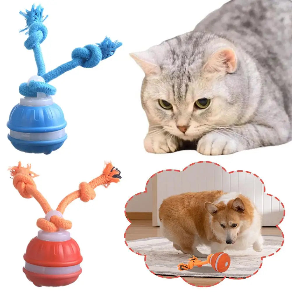 Rolling Ball Toy